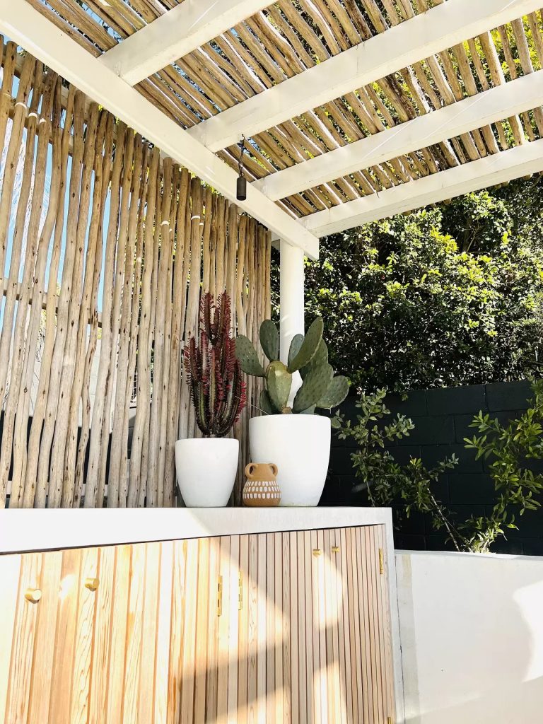 featured wood and cactus outdoor space