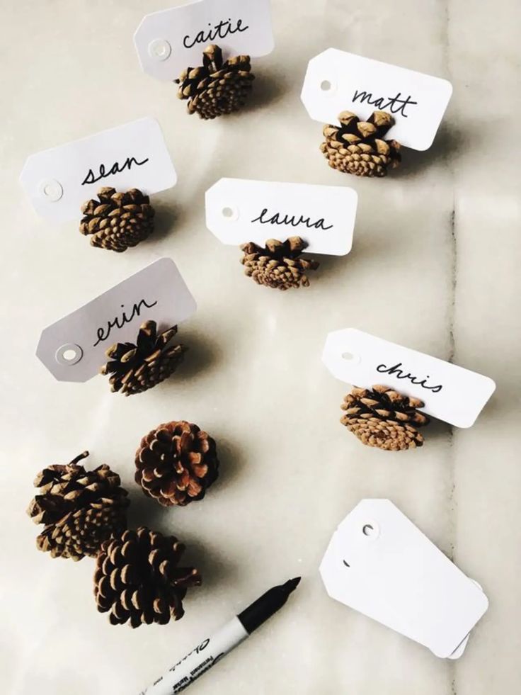 small pine cones with name tags 